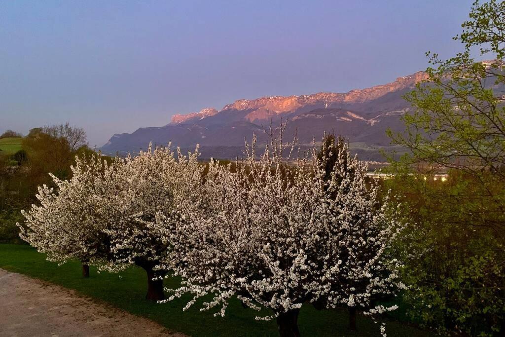 Apartmán Au Calme Avec Vue Magnifique A Saint Maximin Exteriér fotografie